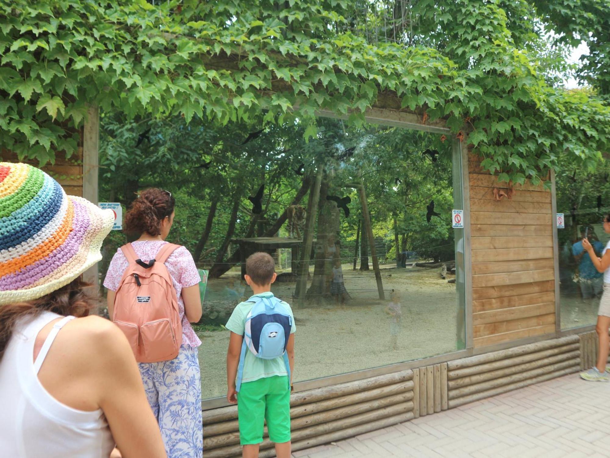 Viviana Apartman Lignano Sabbiadoro Kültér fotó